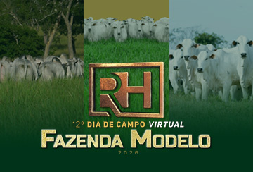 12º DIA DE CAMPO VIRTUAL FAZENDA MODELO - GUTO GRASSANO